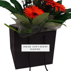 Black Box Bags 250mm