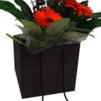 Black Box Bags 250mm