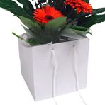 White Box Bags 250mm