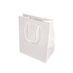 Small Gloss Laminated Carrier Bags