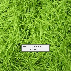 Lime Green Shredded Paper