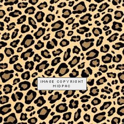 Leopard Tissue Paper