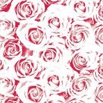 Red Roses Tissue Paper