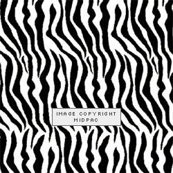 Zebra Tissue Paper