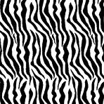 Zebra Tissue Paper