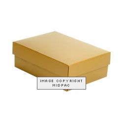 Gloss Gold Medium Box