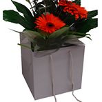 Silver Box Bag 250mm