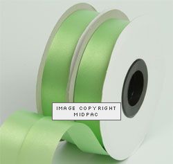 19mm Apple Polyester Ribbon