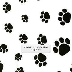 Paw Print Tissue Paper