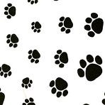 Paw Print Tissue Paper