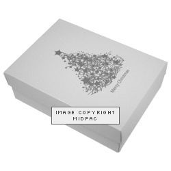 Medium Silver Tree Box