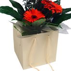 Cream Box Bags 190mm