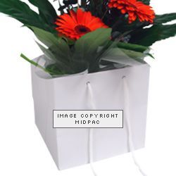 White Box Bags 190mm