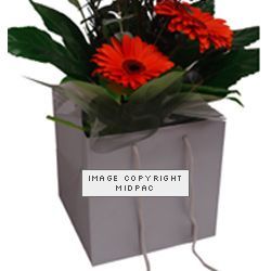 Silver Box Bags 190mm