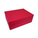 220mm S.Pink Magnetic Rigid Boxes