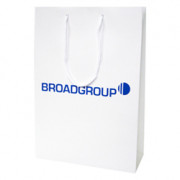 250mm Laminated Printed Paper Carrier Bags