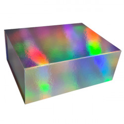 Holographic Magnetic Boxes