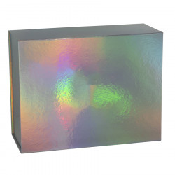 Holographic Magnetic Boxes