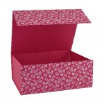 Patterned Magnetic Boxes Patterned Magnetic Boxes