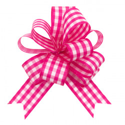 Large Hot Pink Gingham Bows