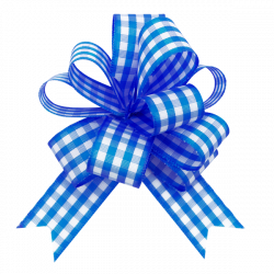 Royal Blue Gingham Bows