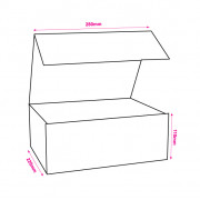 220x280x110mm Shocking Pink Magnetic Gift Boxes