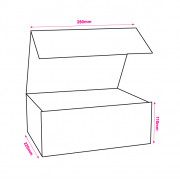 220x280x110mm Baby Pink Magnetic Rigid Gift Boxes