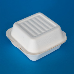 Bagasse Food Containers