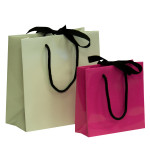 Laminated Paper Carrier Bags Laminated Paper Carrier Bags