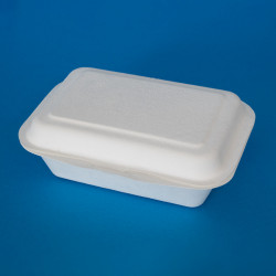 7x5" Bagasse Food Boxes (BHB9)