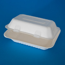 9x6" Bagasse Food Boxes (BHB10)