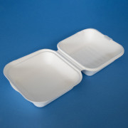 Bagasse burger boxes (BHB6)