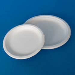 9" Bagasse Plates