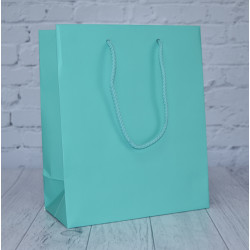 Aqua Matt Paper Carrier Bags