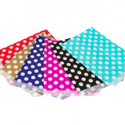 7x9in Polka Dot Paper Bags