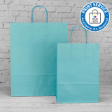 240mm Turquoise Twisted Handle Paper Carrier Bags