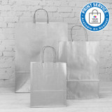 240mm Silver Paper Carrier Bags Twisted Handles