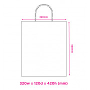 320mm White Twisted Handle Paper Carrier Bags