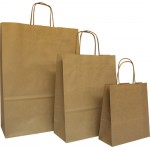 Brown Twisted Handle Paper Carrier Bags Brown Twisted Handle Paper Carrier Bags