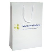 250mm Laminated Printed Paper Carrier Bags
