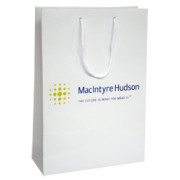 250mm Laminated Printed Paper Carrier Bags