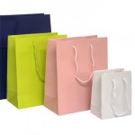Matt Laminated Paper Carrier Bags Matt Laminated Paper Carrier Bags