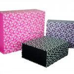 Patterned Magnetic Boxes Patterned Magnetic Boxes