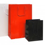 Gloss Laminated Paper Carrier Bags Gloss Laminated Paper Carrier Bags