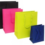 Boutique Paper Carrier Bags Boutique Paper Carrier Bags