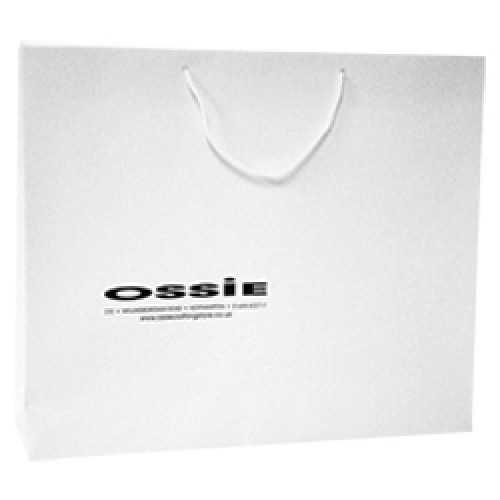 500mm Laminated Printed Paper Carrier Bags